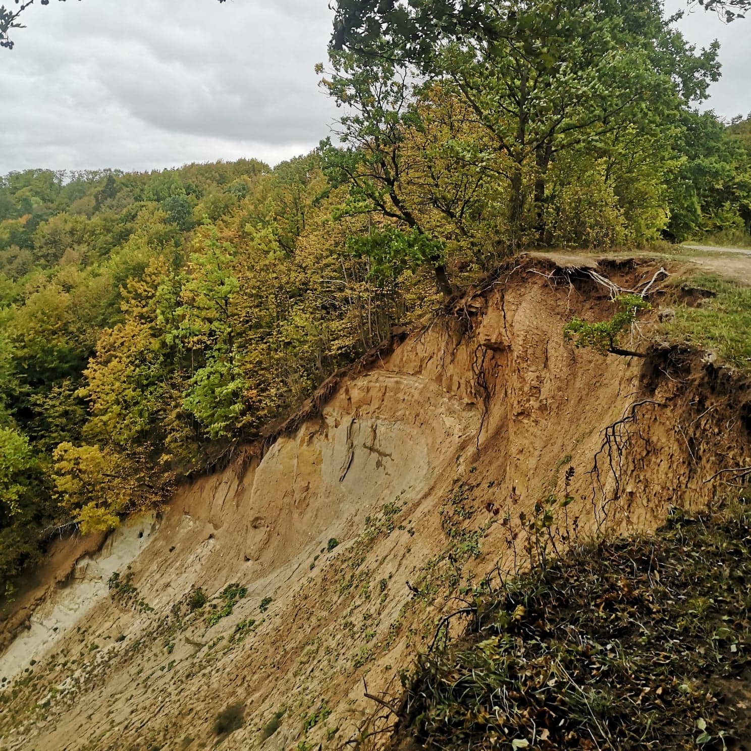 Jiesios pažintinis takas