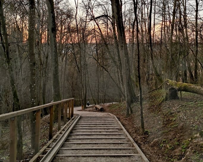 Kamšos draustinio pažintinis takas