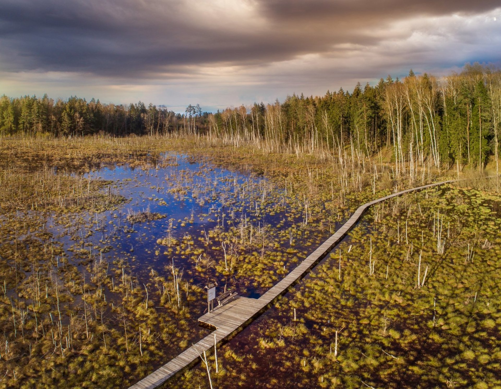 Dubravos rezervatinė apyrubė