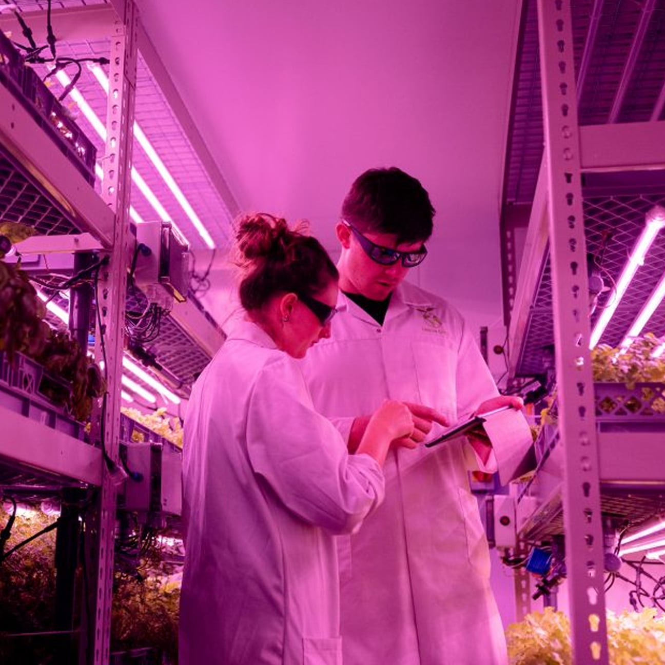 Turas elektronikos įmonėje: „Kitron“