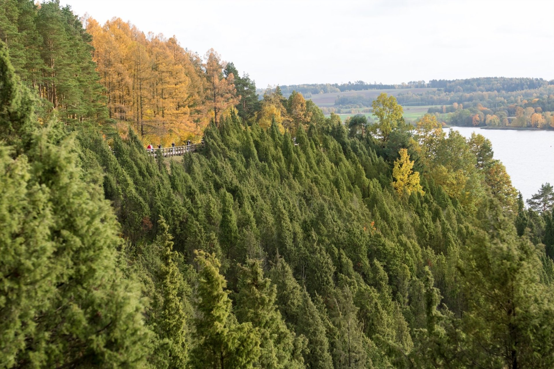 Kadagių slėnis / Arlaviškių pažintinis takas