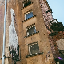 Prieinami erdvūs namai