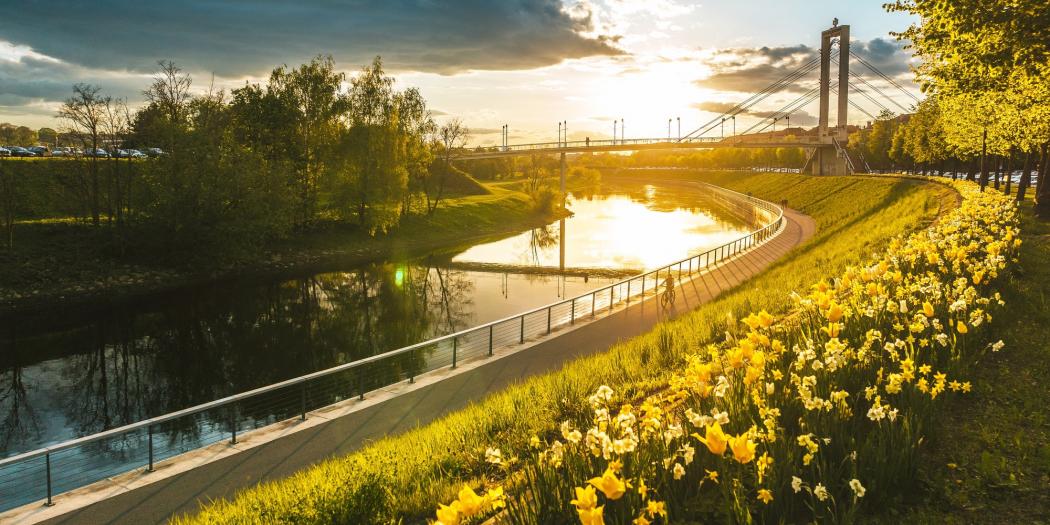 Kaune kaip biure: patarimai geriausioms darbostogoms